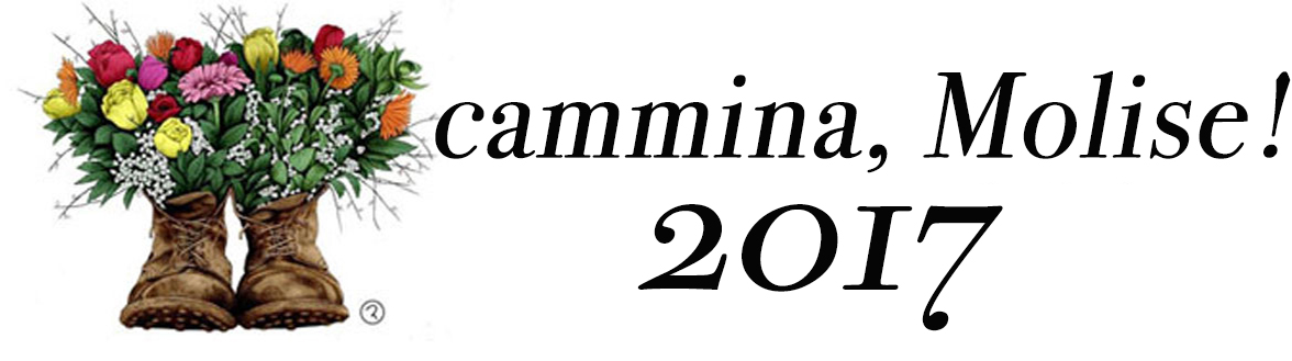 EDIZIONE 2017 – I RINGRAZIAMENTI